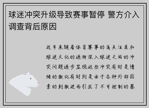 球迷冲突升级导致赛事暂停 警方介入调查背后原因